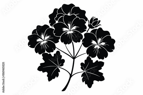 geranium silhouette line art vector illustration with a white background