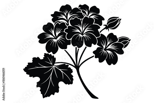 geranium silhouette line art vector illustration with a white background