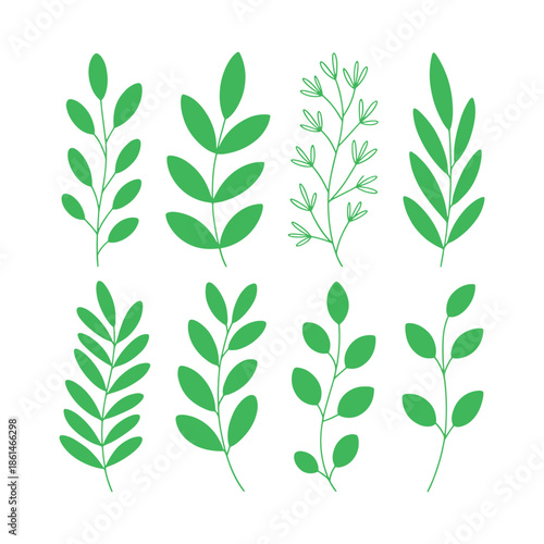 Set of Green Vector Leaves and Branches Illustration, Botanical Nature Elements for Design