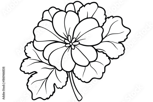 geranium silhouette line art vector illustration with a white background