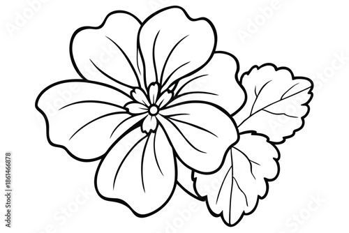 geranium silhouette line art vector illustration with a white background