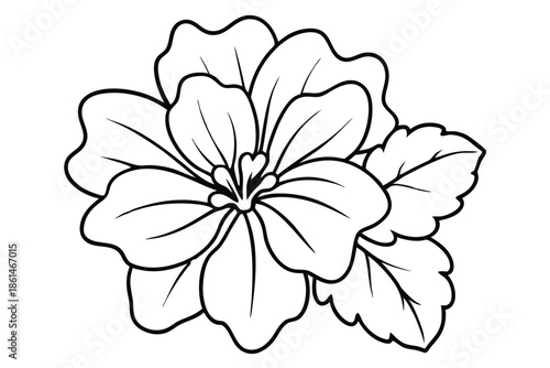 geranium silhouette line art vector illustration with a white background