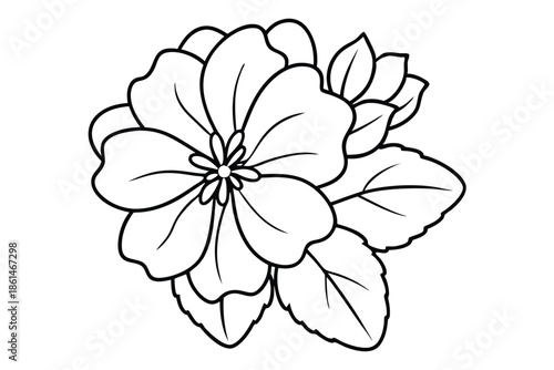 geranium silhouette line art vector illustration with a white background