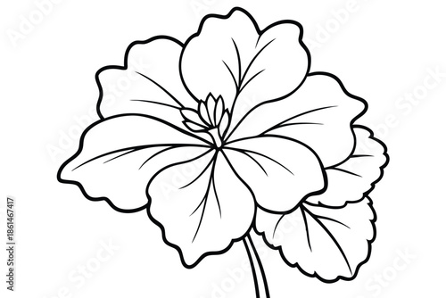 geranium silhouette line art vector illustration with a white background