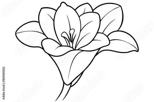 Wallpaper Mural freesia silhouette line art vector illustration with a white background Torontodigital.ca