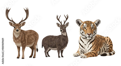 Wallpaper Mural Three animals in natural habitat isolated on transparent background, isolated on white background Torontodigital.ca