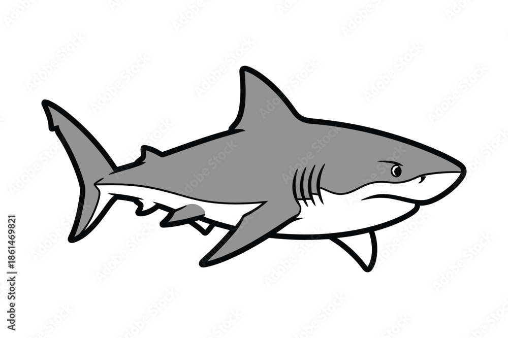 Fototapeta premium Powerful shark vector illustration isolated on white background.