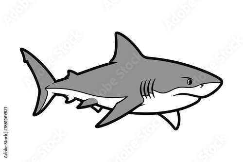 Powerful shark vector illustration isolated on white background.