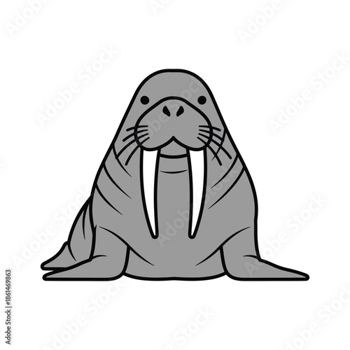 Majestic walrus vector illustration, arctic marine mammal mascot isolated on white.