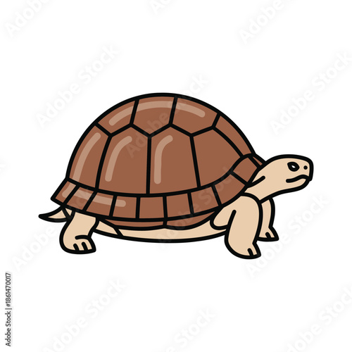 Simple tortoise vector illustration, side view isolated on white