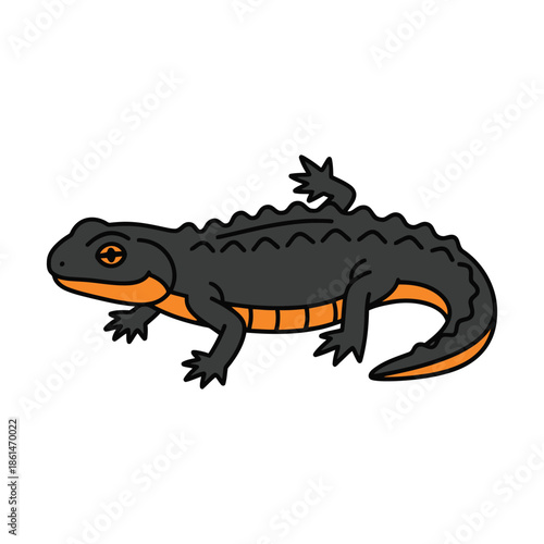 vector illustration of a cartoon crocodile on white background