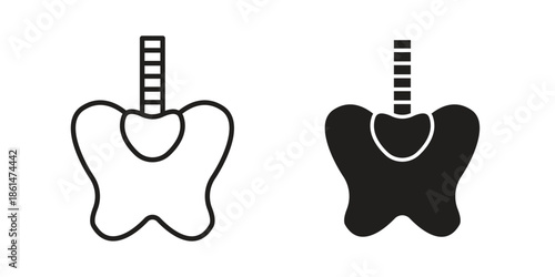 Pelvis icons for templates, web design and infographics