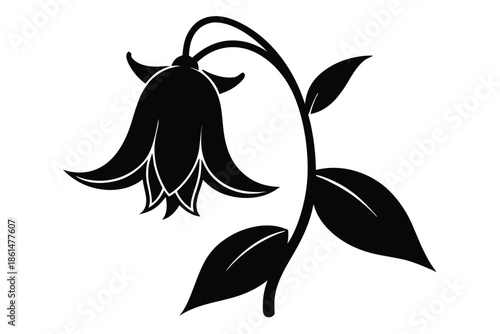 bellflower silhouette line art vector illustration with a white background