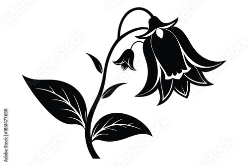 bellflower silhouette line art vector illustration with a white background