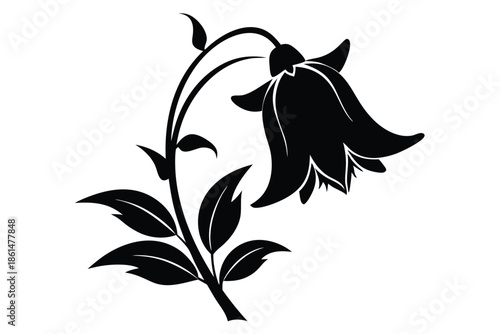 bellflower silhouette line art vector illustration with a white background