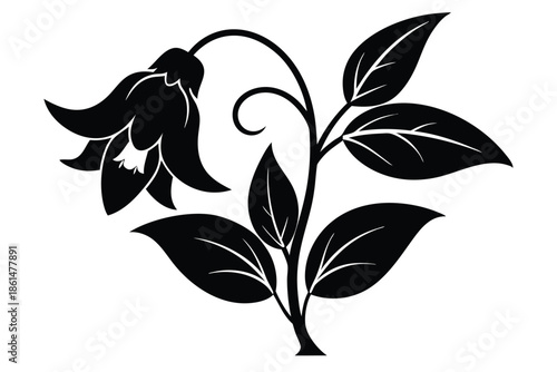 bellflower silhouette line art vector illustration with a white background