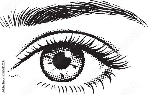 Close-up of a human eye with detailed eyelashes and eyebrow