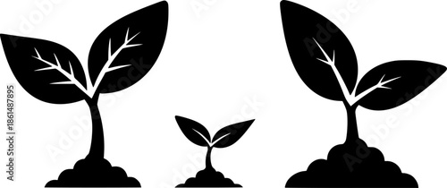Black nature and plant icons sprout seedling
