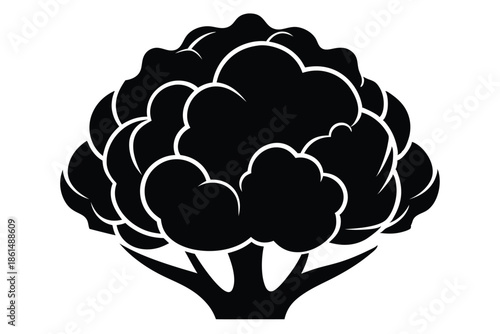 cauliflower silhouette line art vector illustration with a white background
