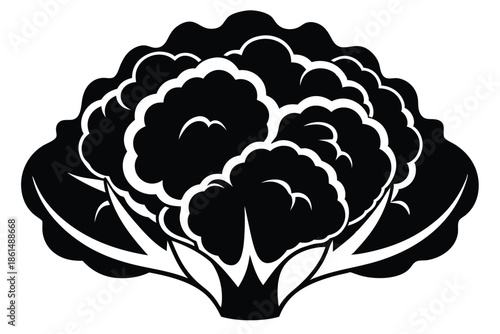 cauliflower silhouette line art vector illustration with a white background