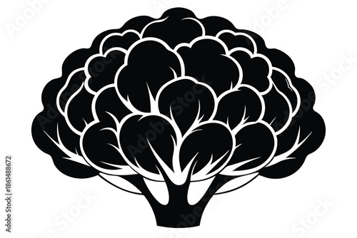 cauliflower silhouette line art vector illustration with a white background
