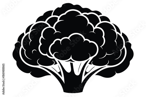 cauliflower silhouette line art vector illustration with a white background