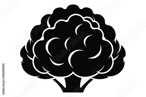 cauliflower silhouette line art vector illustration with a white background