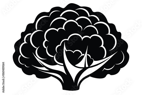cauliflower silhouette line art vector illustration with a white background