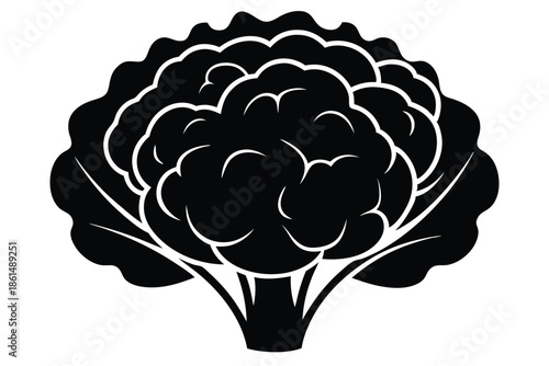 cauliflower silhouette line art vector illustration with a white background