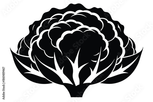 cauliflower silhouette line art vector illustration with a white background