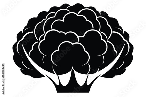 cauliflower silhouette line art vector illustration with a white background