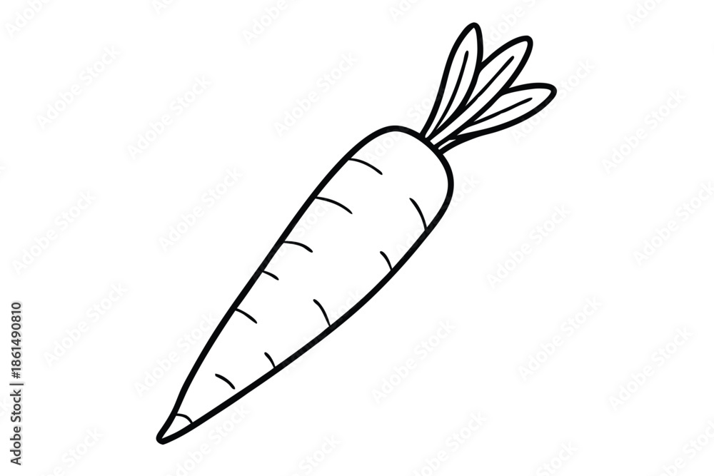 Obraz premium carrot silhouette line art vector illustration with a white background