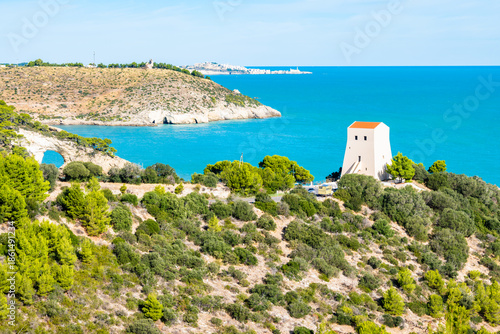 Wallpaper Mural Scenic view of the Adriatic coast with Torre di San Felice overlooking turquoise waters near Vieste, Apulia, Italy Torontodigital.ca
