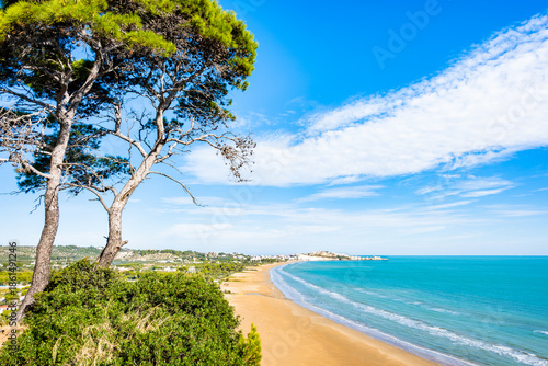 Wallpaper Mural Panoramic view of Vieste’s coastline with golden sand, turquoise sea, and Mediterranean pines, Apulia, Italy Torontodigital.ca