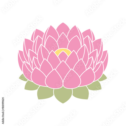 Pink Lotus Flower Vector Illustration Isolated on Transparent Background