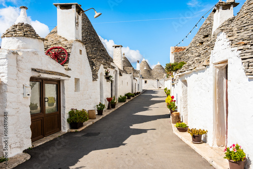 Wallpaper Mural Peaceful trulli-lined street with stone paths and colorful potted plants basking in sunlight in Alberobello town, Apulia, Italy Torontodigital.ca