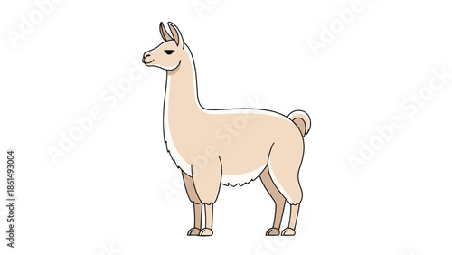 A delightful minimalist animated llama depicted standing quietly on a stark white backdrop presenting its endearing features and calm demeanor