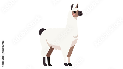 Elegant white llama illustration in flat graphic style, a delightful and simple animal character perfect for educational and playful design assets.