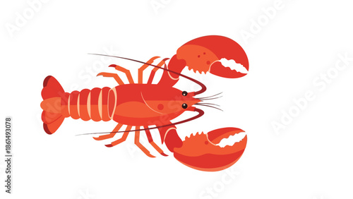 Vibrant stylized red lobster illustration with prominent claws and segmented tail on white background