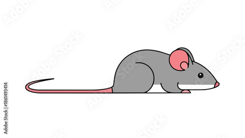 A friendly, simple, and charming grey mouse cartoon illustration with noticeable pink ears and a long tail, presented on a clean white background