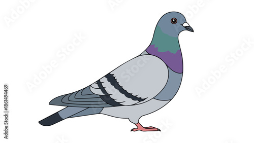 Colorful illustrated rock dove on a pristine white background, showcasing urban avian beauty