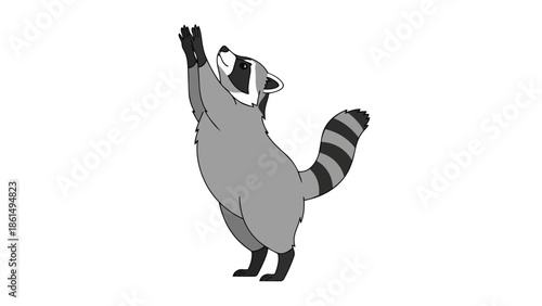 Animated gray raccoon reaching skyward in an expressive upward gaze on white background illustration