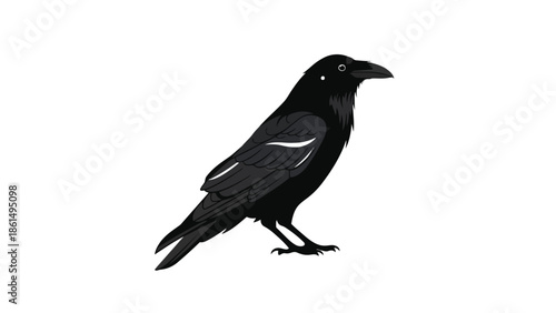 Majestic solitary jet-black corvid avian illustration standing proudly a striking minimalist graphic design of a common raven on a pristine white