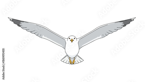 Vibrant vector illustration of a graceful seabird soaring freely with outstretched wings, embodying avian elegance and coastal liberty, perfect for