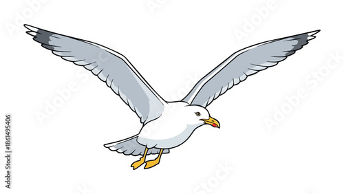Graceful seabird soaring with outstretched wings against a clear sky illustration artwork