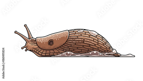Vibrant slug illustration, detailed brown body, prominent tentacles, glistening slime trail visible. Art depicting a slow garden creature moving