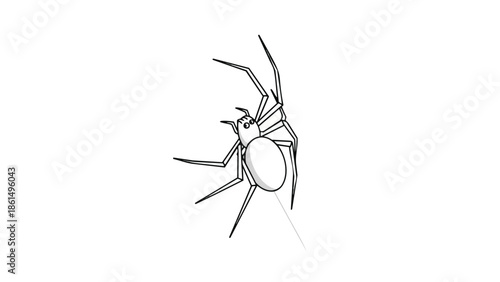 Minimalist black and white line art drawing of a common spider descending on a single silk thread