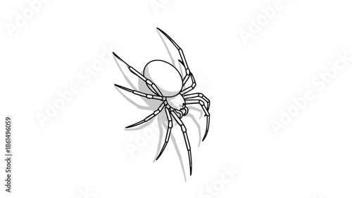 Minimalist black and white spider illustration, a digital drawing of an arachnid with eight legs and a subtle shadow, perfect for an icon or design