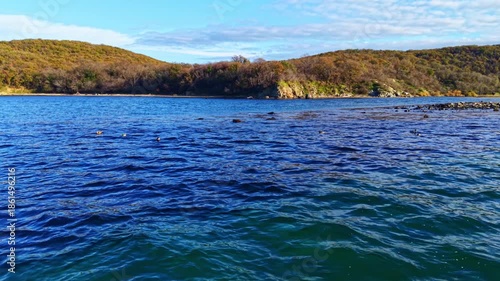 Gentle waves lap against a picturesque coastline under a clear blue sky. Lush hills rise in the background, creating a peaceful and calming atmosphere in this scenic bay.