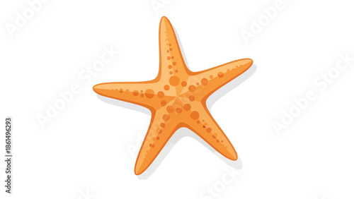 Vibrant orange starfish illustration isolated on a pure white background showcasing marine life